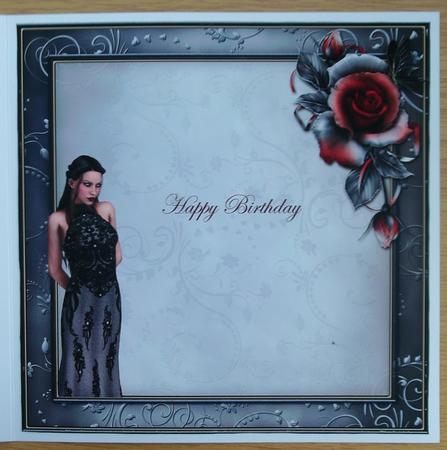 Mirror Image Insert by Linda Short