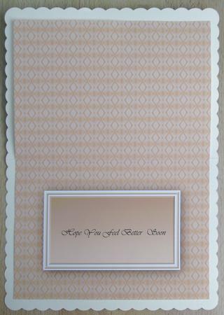 Classic Poppies Insert by Linda Short
