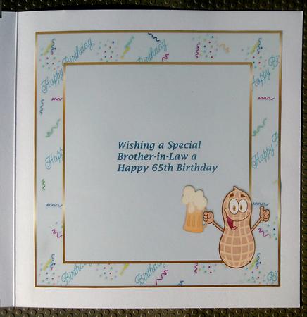 Nutcase Insert by Linda Short