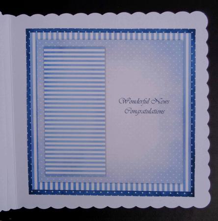 Insert Cute Zebra Birthday Boy by Linda Short