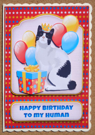Happy Birthday from the Furball 2 by Linda Short
