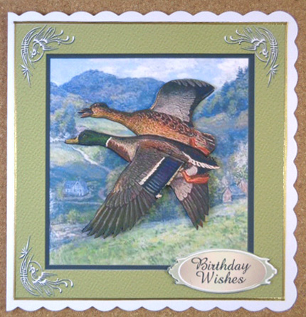 2 Wild Ducks - Card Front by Linda Short