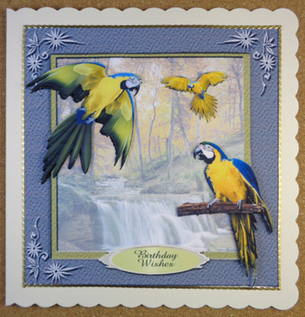 Colourful Birds Series - Quick Card 4 by Linda Short