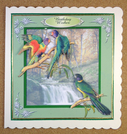 Colourful Birds Series - Quick Card 5 by Linda Short