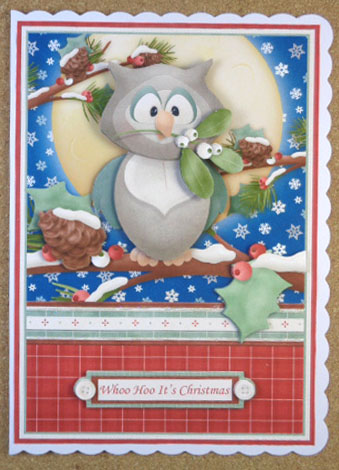 Mistletoe Owl A5 Christmas Card Topper & Decoupage by Linda Short