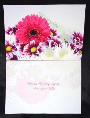 Gerbera Insert by Linda Short