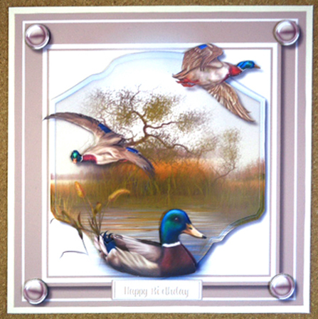 Mallard Ducks in the Reeds  by Linda Short