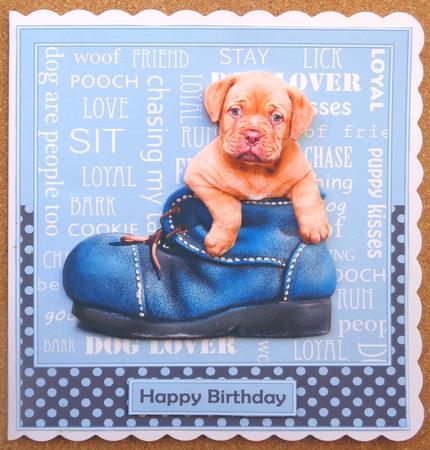 Puppy in Boot by Linda Short