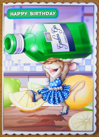 Mrs Gin Mouse by Linda Short