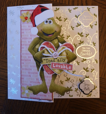 Toad Ally Loveable Large Dl Card by Linda Willcocks