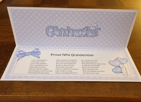 New Baby Grandmother Matching Large Dl Insert by Linda Willcocks