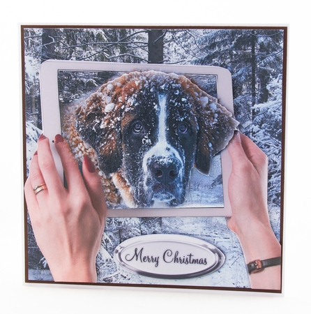  St Bernard in a i-pad by Lisa Bird