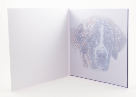  St Bernard in a i-pad by Lisa Bird