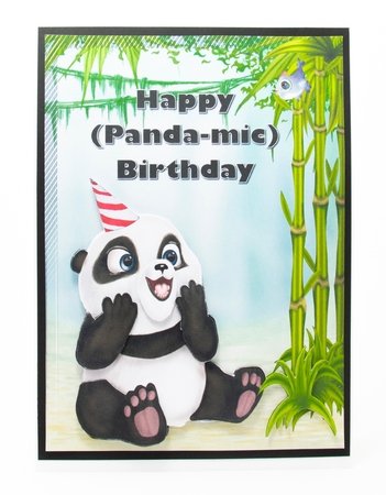 Panda-mic Birthday by Lisa Bird