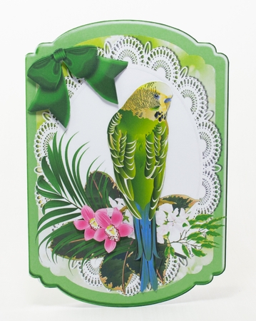 Pretty green budgie on lace with bow bracket card (four) by Lisa Bird