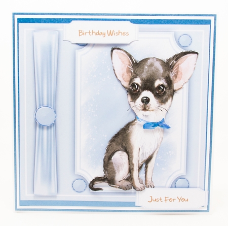 Beautiful Chihuahua in a bow tie  by Lisa Bird