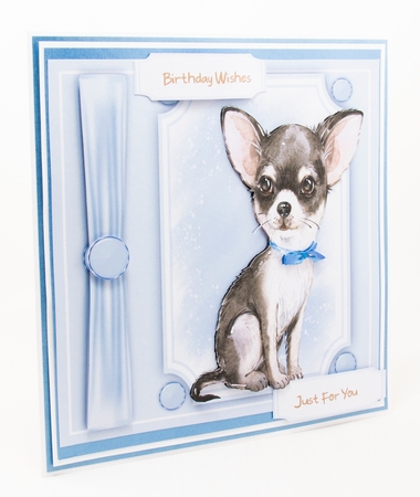 Beautiful Chihuahua in a bow tie  by Lisa Bird