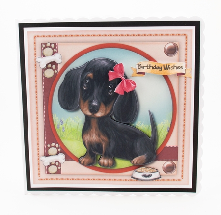 Gorgeous Daschund Pup by Lisa Bird