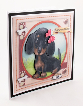 Gorgeous Daschund Pup by Lisa Bird