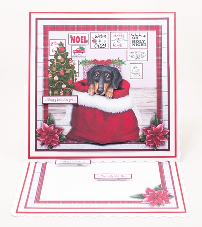 CHRISTMAS DACHSHUND mini kit by Lisa Bird