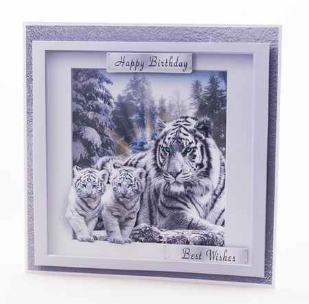 white tigers by Lisa Bird