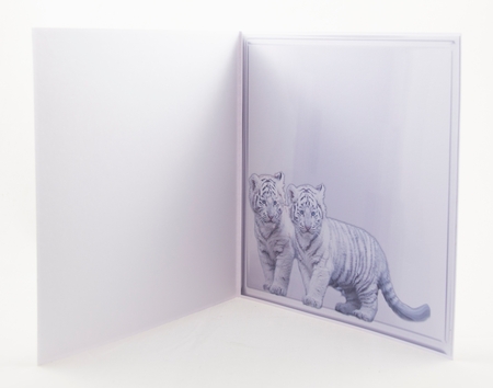 white tigers by Lisa Bird