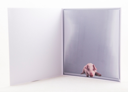 on the pig farm by Lisa Bird