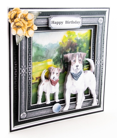 Jack Russell by Lisa Bird