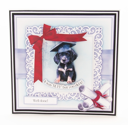 It was RUFF but you did it! Graduation by Lisa Bird