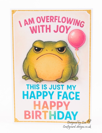 DD – THE JUDGMENTAL FROG A4 by Lisa Bird