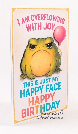 DD – THE JUDGMENTAL FROG A4 by Lisa Bird