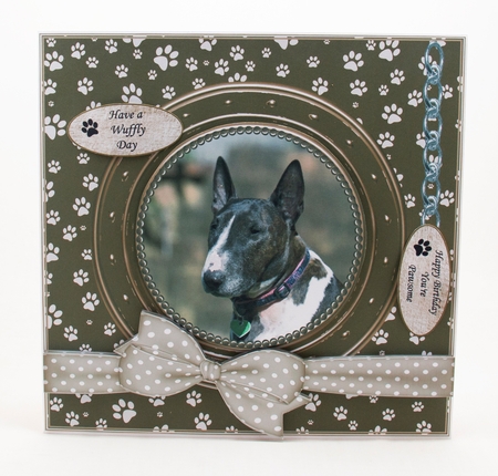 BULL TERRIER THANK YOU AND VARIOUS OTHER SENTIMENTS by Lisa Bird