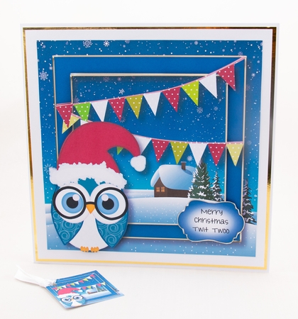 Christmas Owl - Santa Hat 8x8 by Lisa Bird
