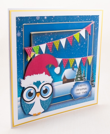 Christmas Owl - Santa Hat 8x8 by Lisa Bird