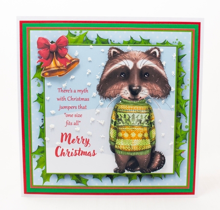 Christmas Jumper Raccoon Card Front by Lisa Bird