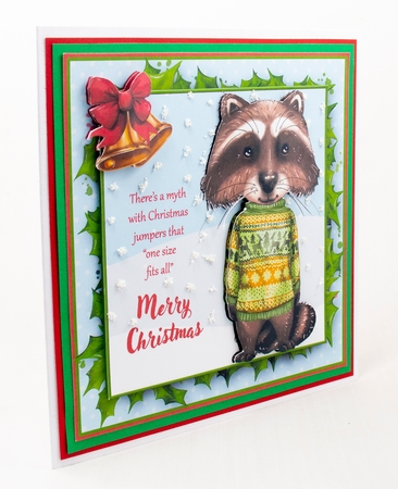 Christmas Jumper Raccoon Card Front by Lisa Bird