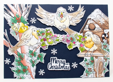 Three Christmas Robin birds by Lisa Bird