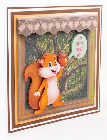 Nuts For You by Lisa Bird