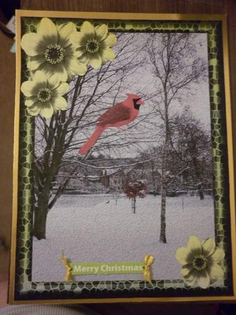Frames, Borders, Bows! Set 1 by Lisa Griffiths