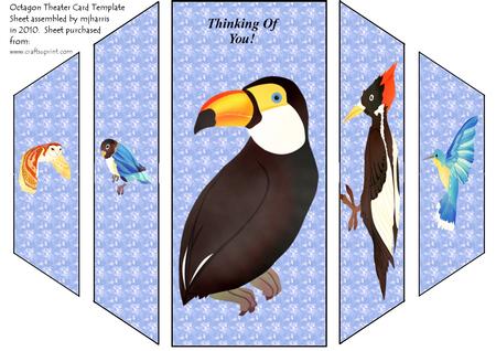 Bright & Fresh Birds 2 by Lisa Griffiths