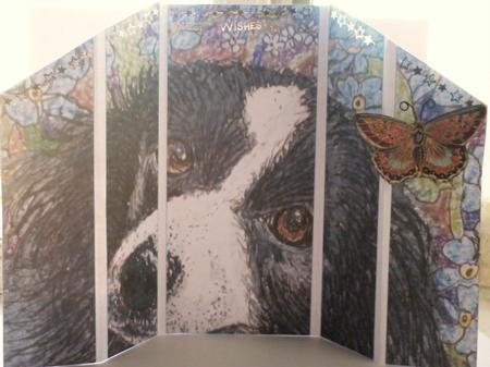 Forget Me Not Border Collie Dog Theatre Fold by Lisa Griffiths