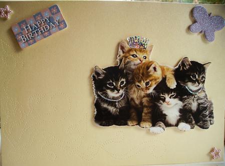 Dreams Corner Design by Lisa Griffiths