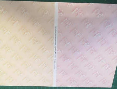 Wedding Bride and Groom Backgrounds by Lisa Howett