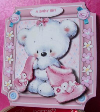 Baby Teddy Wrapped in Her Pink Blanket  by Lisa Howett