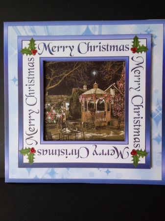 SC Christmas gazebo by Lisa Lee