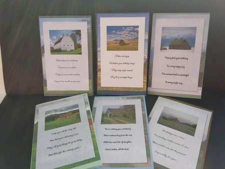 Barns Male Birthday Quick Cards with Sentiments and Inserts by Lisa Lee