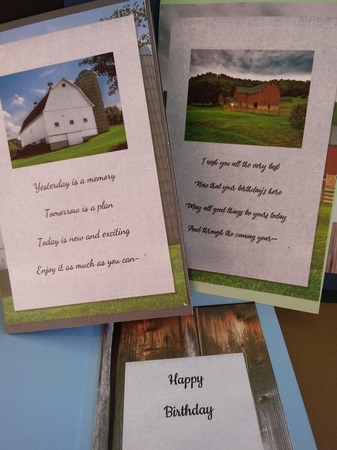 Barns Male Birthday Quick Cards with Sentiments and Inserts by Lisa Lee