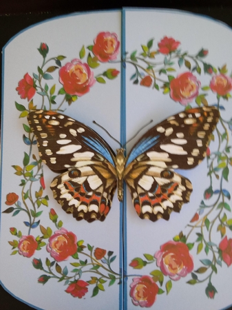 Rambling Roses 3 Panel Gatefold Card Kit - Thinking of You by Lisa Lee