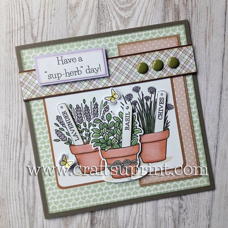 Herbs Mini Kit by Lisa Macvicar