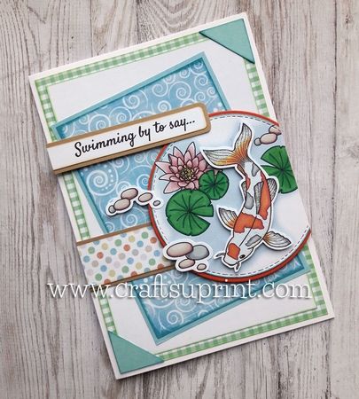 Koi Mini Kit Featured Gallery Photo